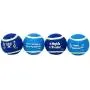 Rite Lite CHEWDAICA TM, Set of 4 Chanukah Tennis Balls Dog Toy, Blue/White, 4 Count Hanukkah Rite Lite CHEWDAICA TM, Set of 4 Chanukah Tennis Balls Dog Toy, Blue/White, 4 Count Hanukkah