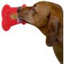 Lick Lick Pad - The Original Slow Feeder Dog Distraction Device | Veterinarian Used Lick Mat to Soothe While Bathing, Grooming, Training and More | Suction to Wall and Add Peanut Butter | Large