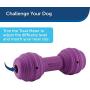 PetSafe Busy Buddy Chuckle Dog Toy