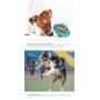 Floppy Fish Cat Toy and Puzzle Dog Food Dispenser