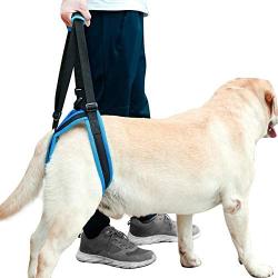 ROZKITCH Pet Dog Support Harness Rear Lifting Harness Veterinarian Approved for Old K9 Helps with Poor Stability, Joint Injuries Elderly and Arthritis ACL Rehabilitation Rehab