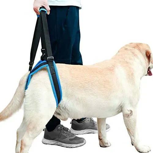 ROZKITCH Pet Dog Support Harness Rear Lifting Harness Veterinarian Approved for Old K9 Helps with Poor Stability, Joint Injuries Elderly and Arthritis ACL Rehabilitation Rehab ROZKITCH Pet Dog Support Harness Rear Lifting Harness Veterinarian Approved for Old K9 Helps with Poor Stability, Joint Injuries Elderly and Arthritis ACL Rehabilitation Rehab