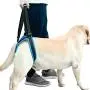ROZKITCH Pet Dog Support Harness Rear Lifting Harness Veterinarian Approved for Old K9 Helps with Poor Stability, Joint Injuries Elderly and Arthritis ACL Rehabilitation Rehab ROZKITCH Pet Dog Support Harness Rear Lifting Harness Veterinarian Approved for Old K9 Helps with Poor Stability, Joint Injuries Elderly and Arthritis ACL Rehabilitation Rehab