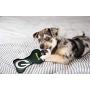 Pets First NFL Green Bay Packers Dental Dog TUG Toy with Squeaker. Tough PET Toy for Healthy Fun, Teething & Cleaning Pets Teeth & Gum. (GBP-3310)