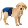 Four Paws Wee-Wee Washable Dog Diaper Garment X-Small