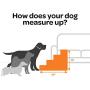 Best Pet Supplies USA Made Pet Steps and Stairs with CertiPUR-US Certified Foam for Dogs and Cats