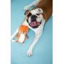 Pearhead Pet Toy, Toys for Small, Medium or Large Dog, Durable Chew Fetch Toy