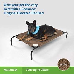 The Original Elevated Pet Bed by Coolaroo, Medium, Nutmeg