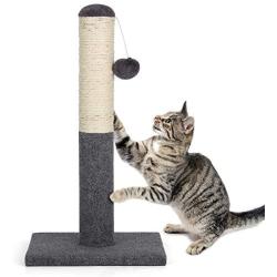 Cat Scratching Post Cat Claw Scratcher Durable Activity Tree Tower with Hanging Ball Interactive Toys 22 inches High Cat Play Game Place Sisal Scratch Pole for Small Medium Large Cats