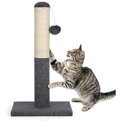 Cat Scratching Post Cat Claw Scratcher Durable Activity Tree Tower with Hanging Ball Interactive Toys 22 inches High Cat Play Game Place Sisal Scratch Pole for Small Medium Large Cats