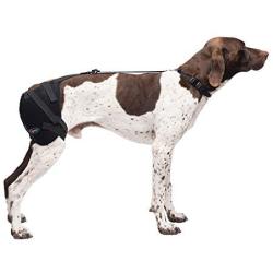 Caldera International Pet Therapy Hip Wrap with Gel, Medium, Black (PET203)