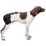 Caldera International Pet Therapy Hip Wrap with Gel, Medium, Black (PET203)