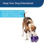 PetSafe Busy Buddy Magic Mushroom Dog Toy