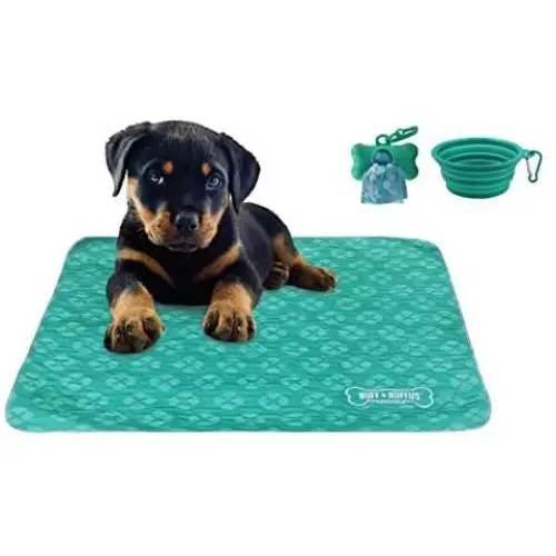 Ruff n Ruffus Reusable and Washable Puppy Pee Pads for Dogs (Set of 2) | Bonus Travel Bowl, Poop Bags and Dispenser | Extra Large 32” x 36” Underpads for Potty Training (Extra-Large (with FREE BONUS)) Ruff n Ruffus Reusable and Washable Puppy Pee Pads for Dogs (Set of 2) | Bonus Travel Bowl, Poop Bags and Dispenser | Extra Large 32” x 36” Underpads for Potty Training (Extra-Large (with FREE BONUS))