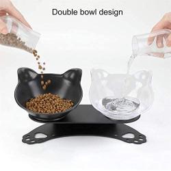 ljfjf Raised Cat Bowls, 15° Tilted Anti-Slip Transparent and Black Cat Food Water Bowl, Double Cat Bowl with Stand, Detachable Pet Feeding Bow Easy to Clean for Cats and Small Dogs (Color : -)