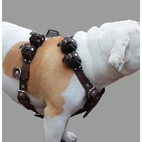 6 lbs Genuine Leather Weighted Pulling Dog Harness for Exercise and Training. Fits 28''-35'' Chest, Brown 6 lbs Genuine Leather Weighted Pulling Dog Harness for Exercise and Training. Fits 28''-35'' Chest, Brown