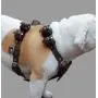 6 lbs Genuine Leather Weighted Pulling Dog Harness for Exercise and Training. Fits 28''-35'' Chest, Brown 6 lbs Genuine Leather Weighted Pulling Dog Harness for Exercise and Training. Fits 28''-35'' Chest, Brown