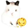 Royal Pet Club Plastic Snack Ball
