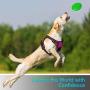 Dog Harness, Reflective Adjustable Pet Vest Harness