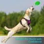 Dog Harness, Reflective Adjustable Pet Vest Harness