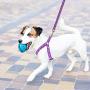 PUPTECK Luminous Dog Harness Collar Leash Set Glow in The Dark- 3 Pieces Adjustable for Small Puppy Medium Doggie Daily Walking Running and Training with Star and Moon Pattern