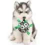 Patgoal Dog Ball, Soccer Ball for Dog, Indoor-Outdoor Interactive Dog Toys, Dog Water Toy with Grab Tabs, Dog Toys for Small Medium Dogs