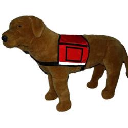 Doggie Stylz Service Dog Vest with 2 ID Badge Holders and 2 Zipper Pockets