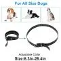 ETPET Dog Collar Belt for Most of Electronic Training Shock Collar Receivers-Adjustable Durable Waterproof Strap Replacement for Barking Collar Fence-Pet TPU Collar Strap ETPET Dog Collar Belt for Most of Electronic Training Shock Collar Receivers-Adjustable Durable Waterproof Strap Replacement for Barking Collar Fence-Pet TPU Collar Strap