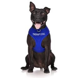 Dexil Limited Therapy Dog Blue Color Coded Non-Pull Front and Back D Ring Padded and Waterproof Vest Dog Harness Prevents Accidents by Warning Others of Your Dog in Advance