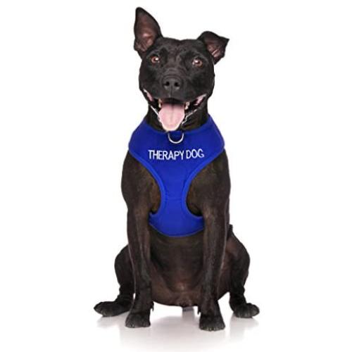 Dexil Limited Therapy Dog Blue Color Coded Non-Pull Front and Back D Ring Padded and Waterproof Vest Dog Harness Prevents Accidents by Warning Others of Your Dog in Advance