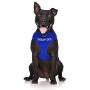 Dexil Limited Therapy Dog Blue Color Coded Non-Pull Front and Back D Ring Padded and Waterproof Vest Dog Harness Prevents Accidents by Warning Others of Your Dog in Advance