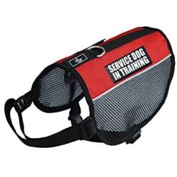 Service Dog in Training mesh Vest Harness Cool Comfort. Purchase Comes with 2 Reflective Service Dog in Training Removable Patches. Please Measure Your Dog Before Ordering
