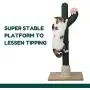 PetnPurr Handmade Cactus Cat Scratching Post for Large and Multiple Cats – Designed for Vertical Scratch, Stretch and Climb