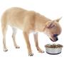 OurPets Premium DuraPet Dog Bowl, 1.25 Cups (2 Pack)