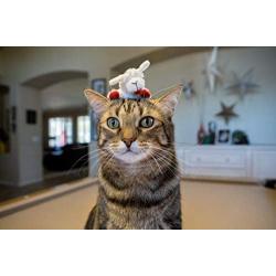 Multipet Lamb Chop Cat Toy 4 in