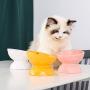 LIONWEI LIONWELI Ceramic Raised Cat Bowls, Tilted Elevated Food or Water Bowls, Stress Free, Backflow Prevention, Dishwasher and Microwave Safe, Lead & Cadmium Free