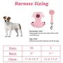 EXPAWLORER Soft Mesh Polka Dots Dog Harness with Matching Leash