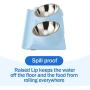 Dressyougo Double Slanted Dog Bowl, Tilted Food Water Bowl for French Bulldog and Cats, Easier to Access Food
