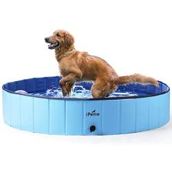 iPettie Foldable Dog Swimming Pool, Portable Collapsible Outdoor Pet Bathing Tub, Kiddie Pool for Dog Cats & Kids