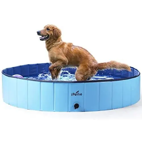 iPettie Foldable Dog Swimming Pool, Portable Collapsible Outdoor Pet Bathing Tub, Kiddie Pool for Dog Cats & Kids iPettie Foldable Dog Swimming Pool, Portable Collapsible Outdoor Pet Bathing Tub, Kiddie Pool for Dog Cats & Kids