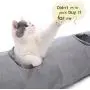 Speedy Pet Collapsible Cat Tunnel, Cat Toys Play Tunnel Durable Suede Hideaway Pet Crinkle Tunnel with Ball,12 inch Diameter Speedy Pet Collapsible Cat Tunnel, Cat Toys Play Tunnel Durable Suede Hideaway Pet Crinkle Tunnel with Ball,12 inch Diameter