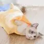 Pet Bath Towel,2 Pack Ultra Absorbent Cat and Dog Towels 17 X 26 for Small Medium Dogs and Cats Car/HairDrying /Kitchen Household Pet Bath Towel,2 Pack Ultra Absorbent Cat and Dog Towels 17 X 26 for Small Medium Dogs and Cats Car/HairDrying /Kitchen Household