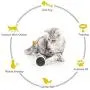 guoyan Tumbler Swing for Cats Kitten Interactive Balance Car Chasing with Catnip Funny Pet Products Feather Toy