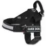 Dean and Tyler Guide Light Nickel Hardware Nylon Dog Harness, Black/Reflective, Medium - Fits Girth: 29-Inch to 39-Inch, Chest Size: 22-Inch Max Dean and Tyler Guide Light Nickel Hardware Nylon Dog Harness, Black/Reflective, Medium - Fits Girth: 29-Inch to 39-Inch, Chest Size: 22-Inch Max
