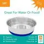 Fuzzy Puppy Pet Products Heavy Dish with Rubber Base Fuzzy Puppy Pet Products Heavy Dish with Rubber Base