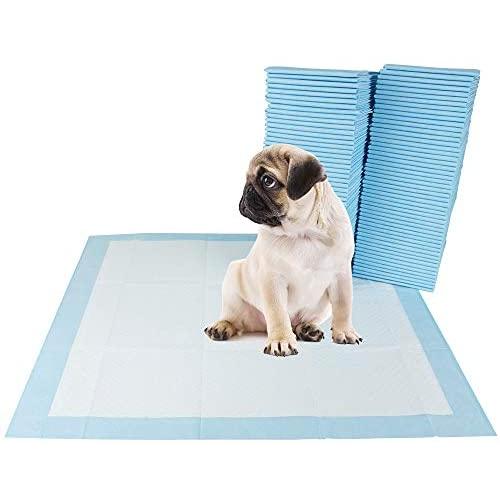 BV Pet Potty Training Pads for Dogs, Puppy Training Pads, 22'' x 22'', 100-Count