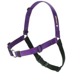 SENSE-ation No-Pull Dog Harness (Purple, Large Wide) by Sense-Ation Harness