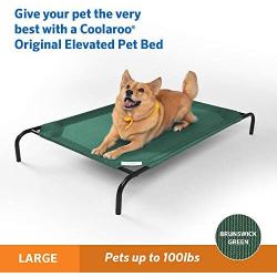 Elevated Indoor/Outdoor Pet Cot Color: Brunswick Green, Size: Large (51'' H x 32'' W)