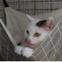 RayCC Ajustable Cat Hammock Cat Bed Sleeping Hammock Hanging Cage Chair Hammock for Cat Small Dogs