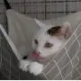 RayCC Ajustable Cat Hammock Cat Bed Sleeping Hammock Hanging Cage Chair Hammock for Cat Small Dogs RayCC Ajustable Cat Hammock Cat Bed Sleeping Hammock Hanging Cage Chair Hammock for Cat Small Dogs